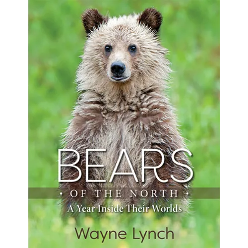 Bears of the North: A Year Inside Their Worlds
