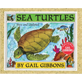 Sea Turtles