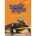 Komodo Dragons: Nature's Biggest Lizard