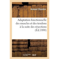 Adaptation Fonctionnelle Des Muscles Et Des Tendons À La Suite Des Résections