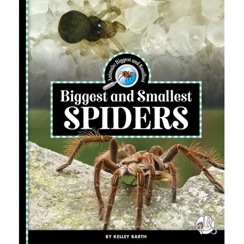 Biggest and Smallest Spiders