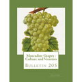 Muscadine Grapes: Culture and Varieties: Bulletin 205