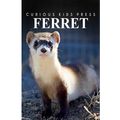 Ferret - Curious Kids Press: Kids book about animals and wildlife, Children's books 4-6