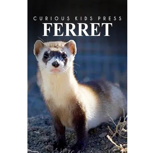 Ferret - Curious Kids Press: Kids book about animals and wildlife, Children's books 4-6