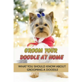 Groom Your Doodle At Home: What You Should Know About Grooming A Doodle: Home Dog Grooming For Your Doodle