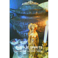 The Aje Spirits, the Secrets of Congo Initiations, Palo Mayombe - Palo Monte - Kimbisa