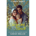 The Unexpected Miracle: 5 Amish Babies