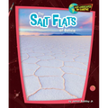 The Salt Flats of Bolivia