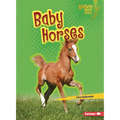 Baby Horses