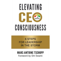 Elevating CEO Consciousness: 6 Steps for Leadership in the Storm