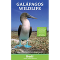 Galapagos Wildlife