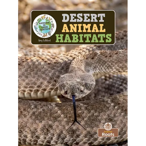 Desert Animal Habitats