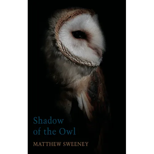 Shadow of the Owl