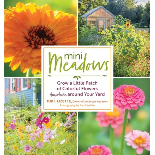 Mini Meadows: Grow a Little Patch of Colorful Flowers Anywhere Around Your Yard