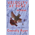 Velocity at Rest: 99 Poems