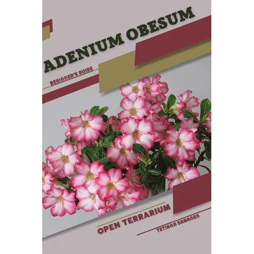 Adenium obesum: Open terrarium, Beginner's Guide