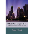 What Do Lawyers Do?: An Ethnography of a Corporate Law Firm