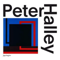 Peter Halley: Paintings of the 1980s: The Catalogue Raisonné