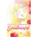 Kimi Ni Todoke: From Me to You: Soulmate, Vol. 1