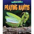 Praying Mantis