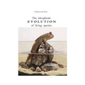 The ideoplastic evolution of living species