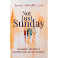Not Just Sunday: Reimagine the Reach and Rhythms of Your Church