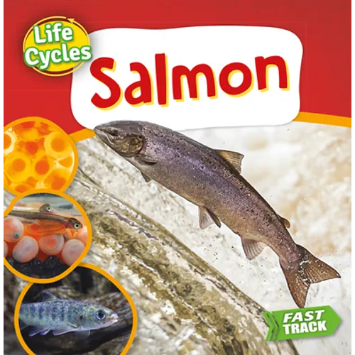 Salmon
