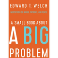 A Small Book about a Big Problem: Meditations on Anger, Patience, and Peace
