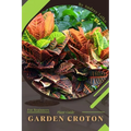 Garden Croton: Plant Guide