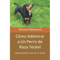 Cómo Adiestrar a Un Perro de Raza Teckel: Adiestramiento Fácil de un Teckel
