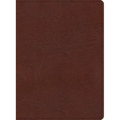 KJV Study Bible, Large Print Edition, Brown Bonded Leather