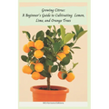 Growing Citrus: A Beginner's Guide to Cultivating Lemon, Lime, and Orange Trees