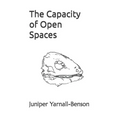 The Capacity of Open Spaces