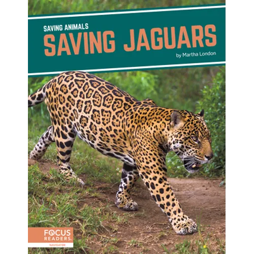 Saving Jaguars