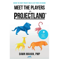 Meet the Players in Projectland: Decide the Right Project Roles & Get People On Board