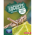 Locusts: An Augmented Reality Experience