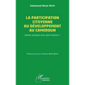 La participation citoyenne au développement au Cameroun: Quelles pratiques pour quels résultats ?