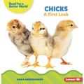 Chicks: A First Look