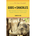 Gods in Shackles: What Elephants Can Teach Us about Empathy, Resilience, and Freedom
