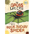 The Gross Life Cycle of a Black Widow Spider
