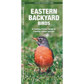 Eastern Backyard Birds: An Introduction to Familiar Urban Species