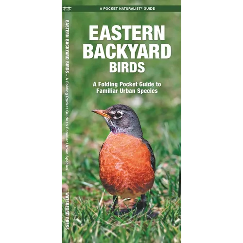 Eastern Backyard Birds: An Introduction to Familiar Urban Species