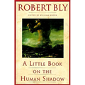 A Little Book on the Human Shadow
