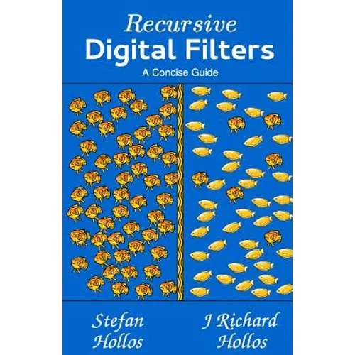 Recursive Digital Filters: A Concise Guide