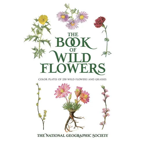 The Book of Wild Flowers: Color Plates of 250 Wild Flowers and Grasses