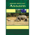 Amazing North East - Assam