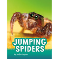 Jumping Spiders