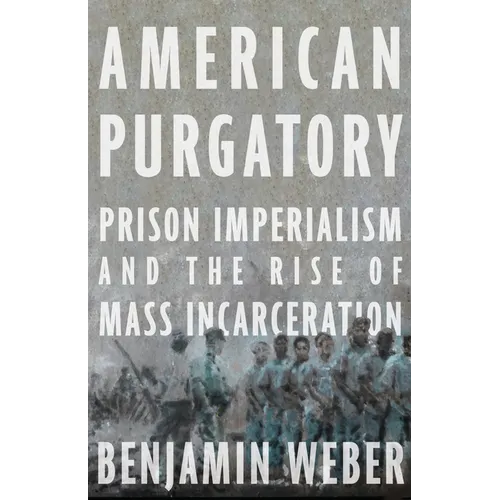 American Purgatory: Prison Imperialism and the Rise of Mass Incarceration