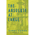 The Absolute at Large