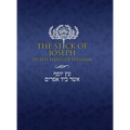 The Stick of Joseph in the Hand of Ephraim: Large Print